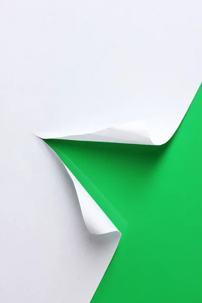 Порванная бумага на зеленом фоне — стоковое фото