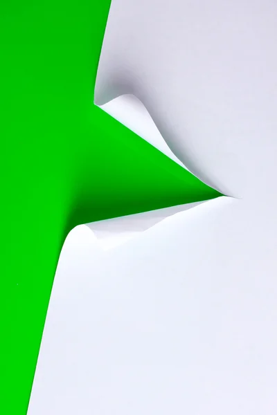 Pappersrevor med grön bakgrund — Stockfoto