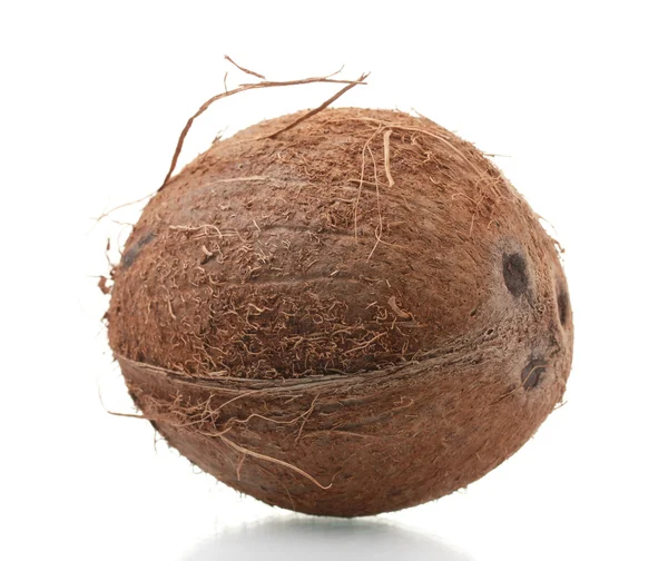 Oconut απομονωθεί σε λευκό — Φωτογραφία Αρχείου