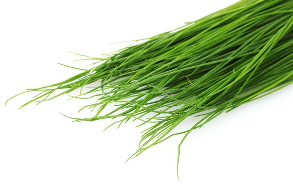 Bella erba cipollina verde isolato su bianco — Foto Stock