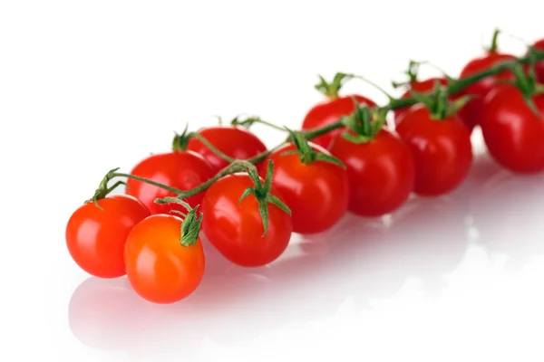 Krásné cherry rajčata na větvi izolované na bílém — Stock fotografie