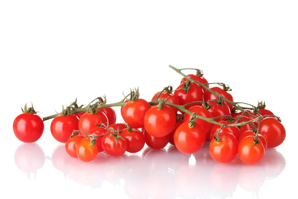 Indah ceri tomat pada cabang terisolasi pada putih — Stok Foto