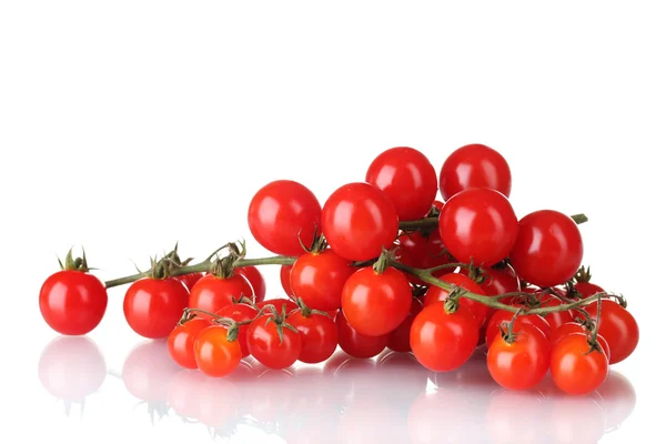 Belos tomates de cereja em um ramo isolado no branco — Fotografia de Stock