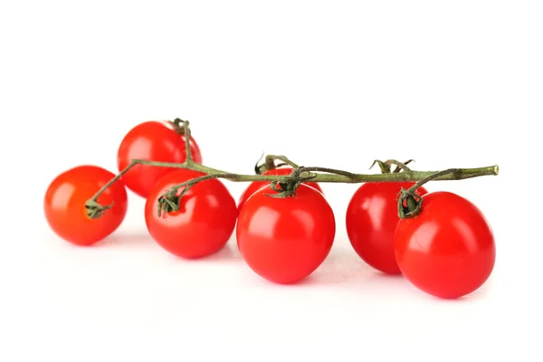 Belles tomates cerises sur une branche isolée sur blanc — Photo