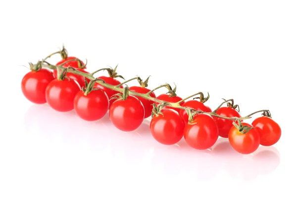 Belles tomates cerises sur une branche isolée sur blanc — Photo