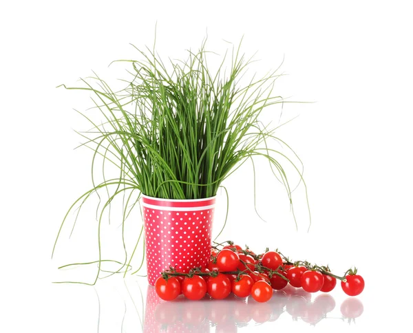 Verse groene rozemarijn in rode cup en tomaten kersenhout geïsoleerd op wit — Stockfoto