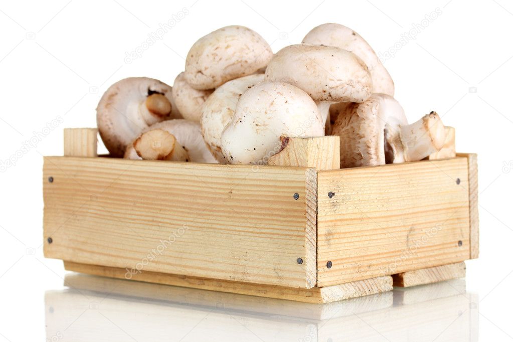 Fresh mushrooms in a wooden box isolated on white