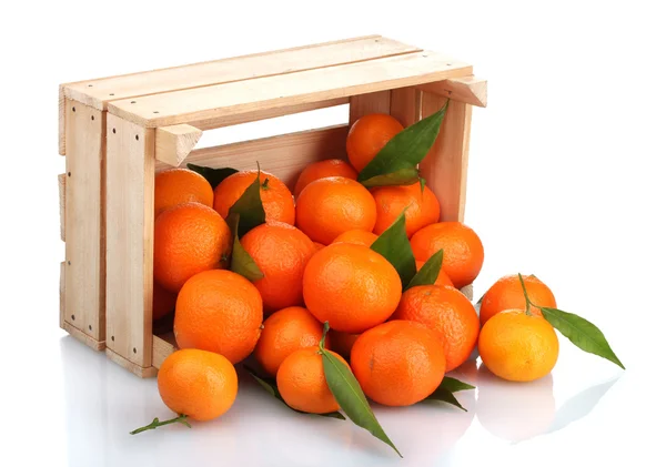 Спелые вкусные мандарины с листьями в деревянной коробке упали изолированы на белый — стоковое фото