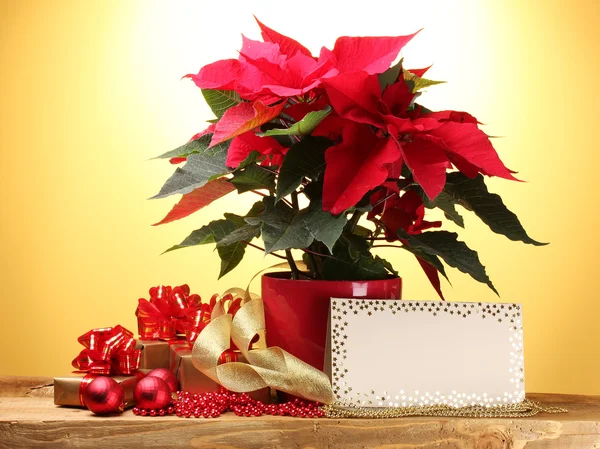 Hermosa poinsettia en maceta, postal, regalos y bolas de Navidad en w —  Fotos de Stock