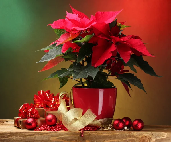 Hermosa poinsettia en maceta, regalos y bolas de Navidad en una mesa de madera — Foto de Stock