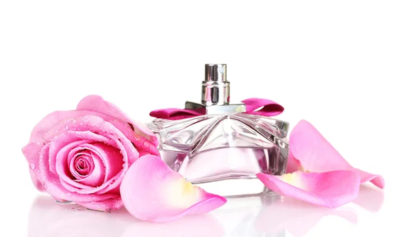 흰색 바탕에 향수와 핑크 장미 — 스톡 사진