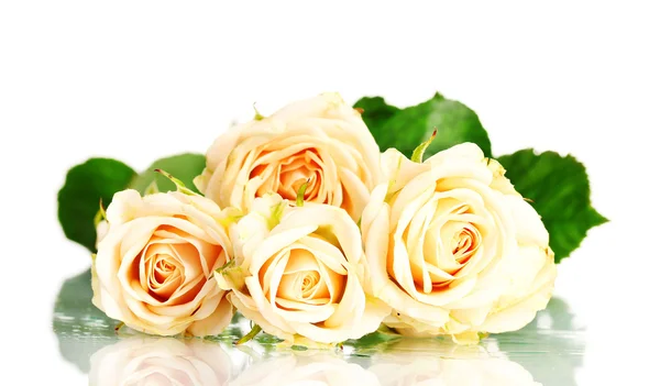Μπουκέτο λευκά τριαντάφυλλα που απομονώνονται σε λευκό — Φωτογραφία Αρχείου