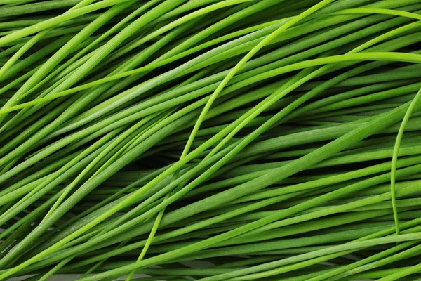 Bella erba cipollina verde primo piano — Foto Stock