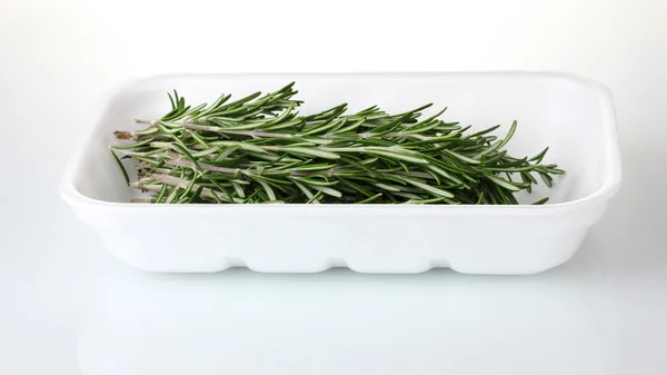 Fresh green rosemary in the package isolated on white — Stock Photo, Image
