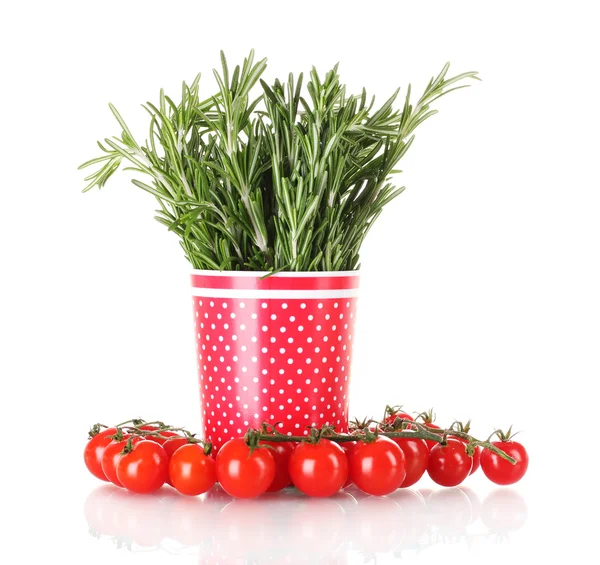 Verse groene rozemarijn in rode cup en tomaten kersenhout geïsoleerd op wit — Stockfoto