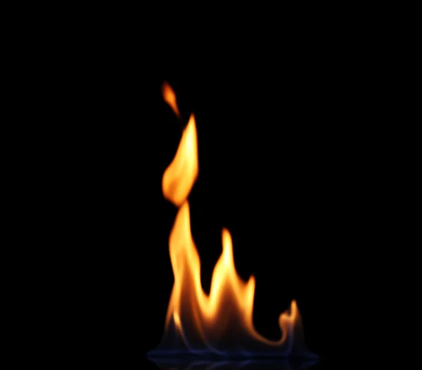 Hermoso fuego sobre un fondo negro — Foto de Stock