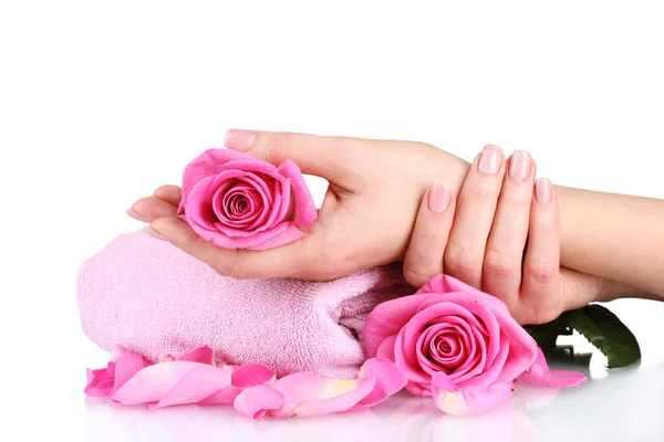 Toalla rosa con rosas y manos sobre fondo blanco —  Fotos de Stock