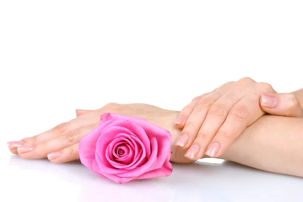Róża i ręce na białym tle — Zdjęcie stockowe