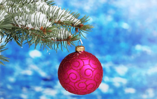 Christmas ball on the tree on blue — Stock Photo, Image