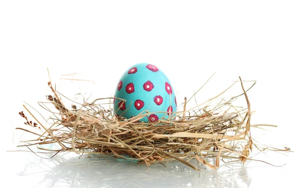 Голубое пасхальное яйцо в птичьем гнездышке, изолированном на белом — стоковое фото