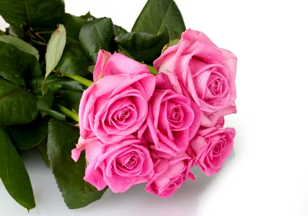 Mnoho růžové růže izolovaných na bílém — Stock fotografie