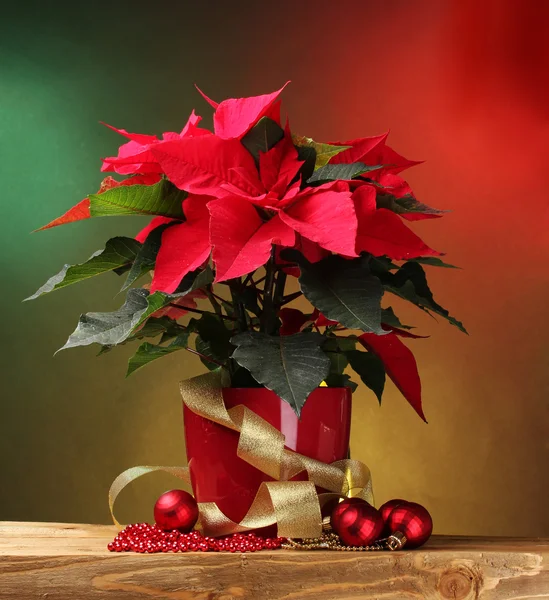 Bella poinsettia in vaso da fiori, regali e palle di Natale su tavola di legno — Foto Stock