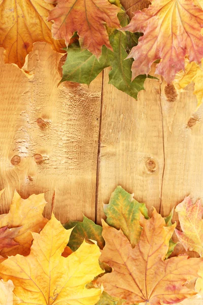 Dry autumn maple leaves on wooden background — Stock Photo, Image