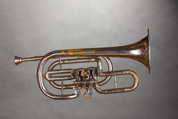 stock image Old trumpet on gray background
