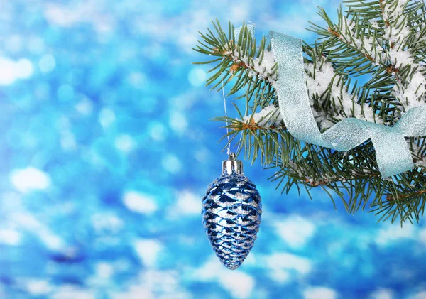 Cône de Noël sur le sapin sur bleu — Photo