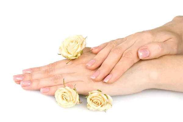 玫瑰和白色上孤立的手 — 图库照片