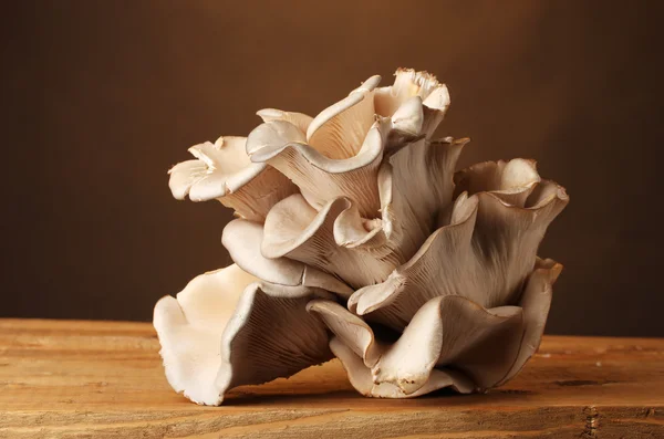 Huître champignons table en bois sur fond marron — Photo