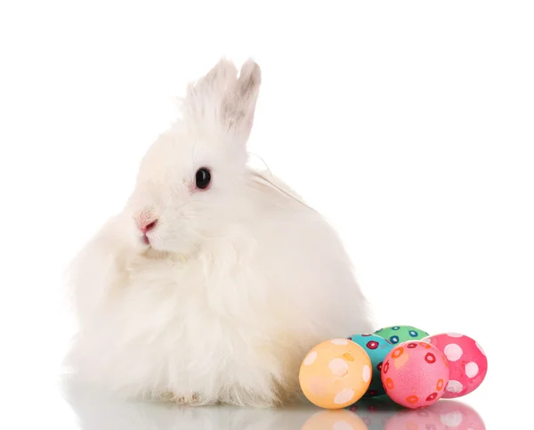 Flauschige weiße Kaninchen mit Eiern isoliert auf weiß — Stockfoto