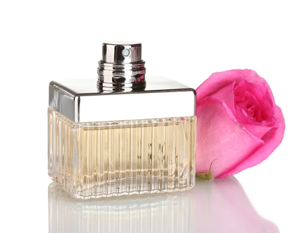 Perfumy w butelkę i różowa róża na białym tle — Zdjęcie stockowe