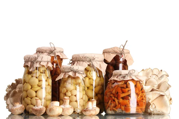 Delicious marinated mushrooms in the glass jars and raw champignons isolate — 스톡 사진