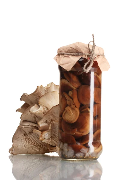 在玻璃罐子和牡蛎蘑菇美味腌制的蘑菇隔离 — 图库照片