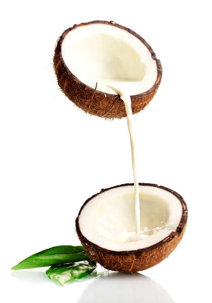 Kokos met kokosmelk geïsoleerd op wit — Stockfoto