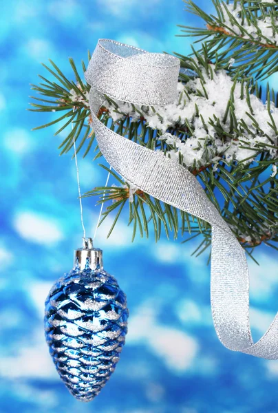 Christmas cone on the tree on blue — Stock Photo, Image
