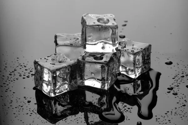 Cubos de gelo derretendo no fundo cinza — Fotografia de Stock
