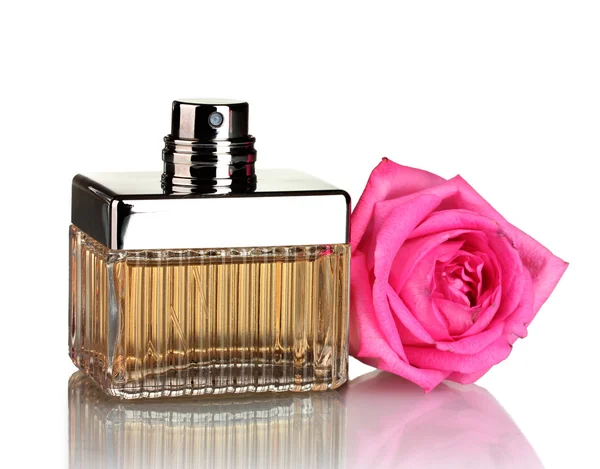 Parfum in een mooie fles en roze rose geïsoleerd op wit — Stockfoto