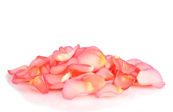 白色上隔绝的美丽粉红玫瑰花瓣 — 图库照片