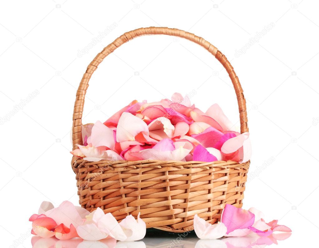 Beautiful pink rose petals in basket isolated on white — Stock Photo