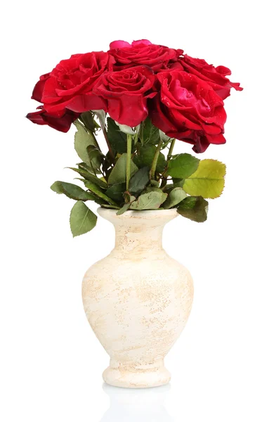 Lindas rosas vermelhas em um vaso isolado em branco — Fotografia de Stock