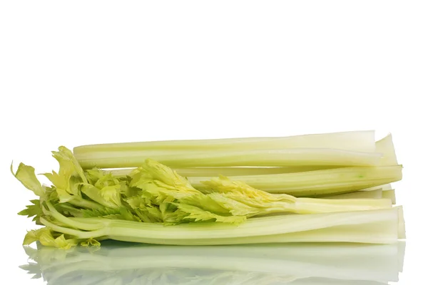 Čerstvě zelený celer izolovaný na bílém — Stock fotografie