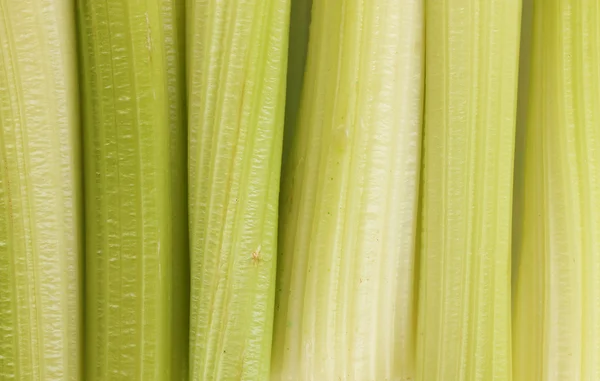 Fresh celery closeup — Stock Photo, Image