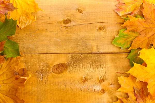 Suchý podzim Javorové listy na dřevěné pozadí — Stock fotografie