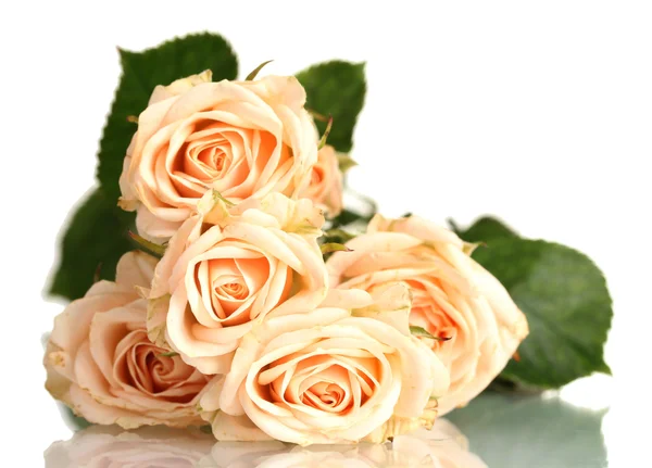Bouquet de roses blanches isolé sur blanc — Photo