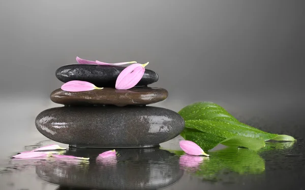 Pedras spa com gotas de água e folhas no fundo preto — Fotografia de Stock