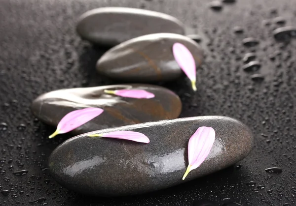 Piedras de spa con gotas de agua y pétalos rosados sobre fondo negro —  Fotos de Stock