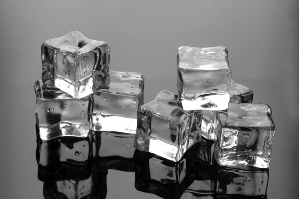 Cubos de gelo sobre fundo cinza — Fotografia de Stock