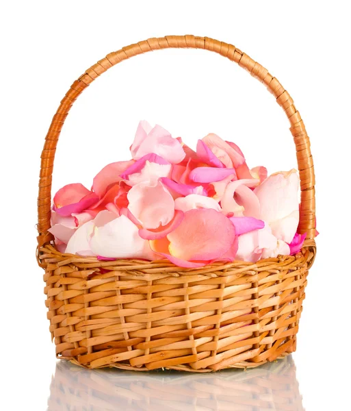 Krásné růžové růží v košíku izolovaných na bílém — Stock fotografie